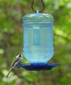 Perky-Pet 780 Outdoor Hanging Water Cooler Bird Waterer and Dispenser,Blue, 1.5 Qt Capacity 27 91QYDjBoxsL