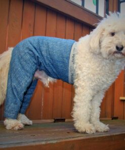 Mozzie Pants Walking Dog Pants, E-Collar Alternative, Dog Pajamas, X-Small Dog, Blue 12 91Qd1sn9ASL
