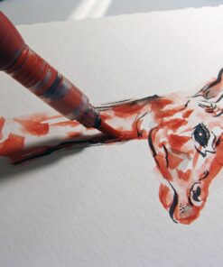 Pentel Arts Aquash Water Brush Assorted Tips, 4 Pack Carded (FRHBP4M), White, Small 4 Pack Assorted 28 91QnNAjeGpL