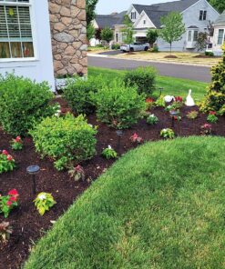 Ohuhu Garden Kneeler and Seat, Heavy Duty Garden Stool with EVA Foam Kneeling Pad, Foldable Gardening Bench with 2 Tool Pouches, 2-in-1 Portable Gardening Supplies, Idea Gifts for Women Men Seniors 49 91R1R5ifIcL