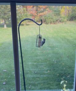 FORUP Suet Bird Feeder, Hanging Suet Feeder, Single Suet Cake Bird Feeder, One Suet Capacity 1 33 91RLz71opL