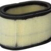 CUMMINS NW Cummins Onan 140-2897 Air Filter