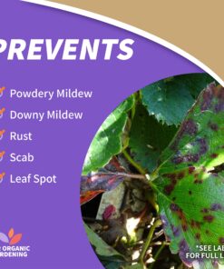 Bonide Captain Jack's Neem Oil, 16 oz. Concentrate, Multi-Purpose Fungicide, Insecticide and Miticide for Organic Gardening 20 91RX6sydW4L