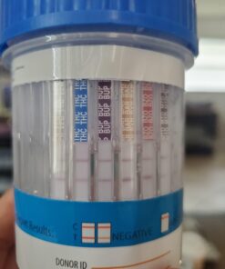 Stinger Detox Buzz 5X Extra Strength Drink – Grape Flavor – 8 FL OZ - 2 Pack 8 Fl Oz (Pack of 2) 32 91RXe HGlfL