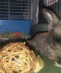 Ware Manufacturing Willow Branch Ball for Small Animals - 4-inch 1-Pack 16 91RYDRWrffL