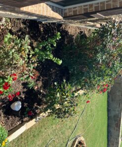 Maxicrop Liquid Seaweed (Kelp Extract, 32 Oz 37 91Rl0zMEL