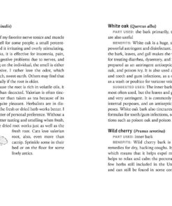 Herbs for Common Ailments: How to Make and Use Herbal Remedies for Home Health Care. A Storey BASICS® Title 12 91RmndJI50L