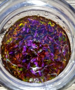 Berry Beautiful Raspberry Seed Oil - For Skin, Hair, and Nails - Cold Pressed, Unrefined, 100% Pure and Locally Grown - 4 fl oz 4 Fl Oz (Pack of 1) 9 91Ro9blUXfL