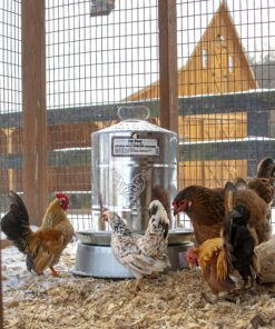 Manna Pro Chicken Supplies | Chicken Waterer Heated Base | Harris Farms Poultry Drinker | Chicken Coop Accessories Drinker Base 17 91S 2yrhmJL