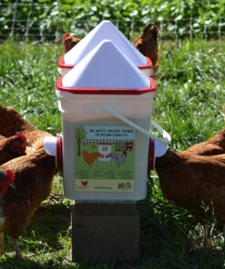 RentACoop 20 Pounds BPA-Free Chicken Feeder with Large Ports - Includes Lid, Anti-Roost Cone, Rain Hoods - Suitable for Chickens - Center Placement 21 91S1zk2lBwL