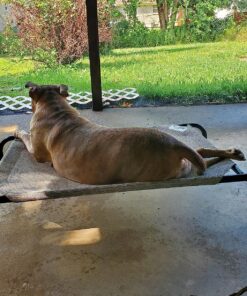 COOLAROO The Original Cooling Elevated Dog Bed, Indoor and Outdoor, Medium, Grey 42.0"L x 25.5"W x 8.0"Th 31 91SMA8yJ1 L