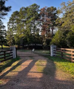 LiftMaster 828LM Internet Gateway Remote Light for MyQ-Enabled Garage Door Openers and Gate Operator 29 91SZmohTo9L