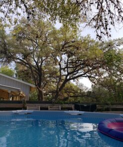 Intex 10' ft Round Diameter Swimming Pool Debris Cover 26 91SqMYKruTL