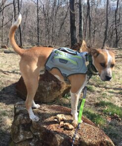 Tuff Mutt Hands Free Dog Leash For Running That Makes A Great Waist Leash for Dog Walking, Double Handle Bungee Leash with Reflective Stitching and Adjustable Dog Walking Belt green/gray 46 91SzSUcZbrL