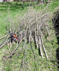 BLACK+DECKER 20V Max Cordless Chainsaw, 10-Inch, Tool Only (LCS1020B) 20V Chainsaw (Tool Only) 48 91SzaAi1BML