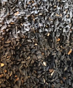 Wagner's 76029 Black Oil Sunflower Seed Wild Bird Food, 40-Pound Bag 30 91T0abTfgIL