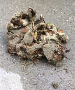 IMPRESA 10-Pack of Pool Skimmer Socks - Excellent Savers for Filters, Baskets, and Skimmers - The Ideal Sock/Net/Saver to Protect Your Inground or Above Ground Pool 31 91T9K6sW92L