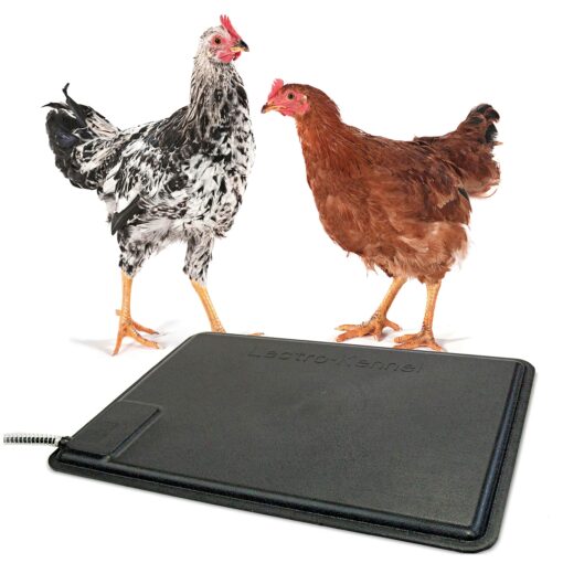 K&H Pet Products 100213019 Thermo Coop Heated Pad for Chickens & Peeps, Chew Resistant, Small (12.5" x 18.5"), Black