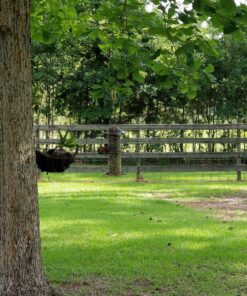 Perky-Pet 325C 2-Tier Copper Panorama Bird Feeder 2 Tier 18 91TFraeYbmL