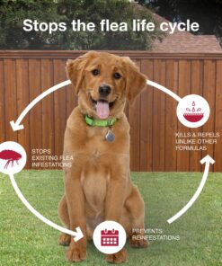 K9 Advantix II Medium Dog Vet-Recommended Flea, Tick & Mosquito Treatment & Prevention | Dogs 11-20 lbs. | 6-Mo Supply 6 Pack Medium Dog only 25 91Td90fxjgL 1