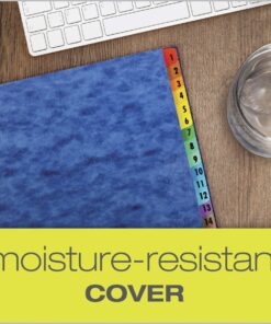 Pendaflex Expanding Desk File, Daily (1–31), Letter Size, Blue, Each (11013) (11013EE) , Black 8 91Tdb7PgcwL