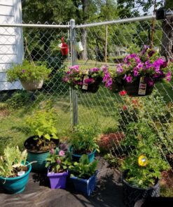 Scotts 203235 SC3X150 Weed Barrier Fabric, 150-Foot, Black 25-Year 23 91TmG9WG9yL