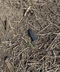 Bounty Hunter TK4 Tracker IV Metal Detector with 8-inch Waterproof Coil 32 91ToIgXdPkL