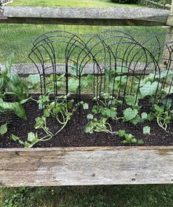 Miracle-Gro Moisture Control Potting Mix - Soil for Indoor & Outdoor Containers, Added Fertilizer Feeds Up to 6 Months, 8 qt. 8 qt. 43 91TohDy0sHL