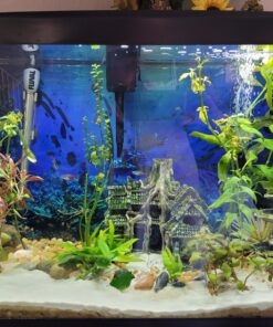 Carib Sea ACS05820 Super Natural Moonlight Sand for Aquarium, 5-Pound 5 lb 17 91TsG3LkdL