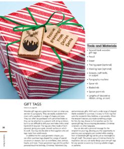 Learn to Burn: A Step-by-Step Guide to Getting Started in Pyrography (Fox Chapel Publishing) Easily Create Beautiful Art & Gifts with 14 Step-by-Step Projects, How-to Photos, and 50 Bonus Patterns 17 91Tv6ERspYL