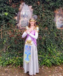 Disguise Adult Zelda Deluxe Costume Medium Multi 29 91TxVMyQR4L