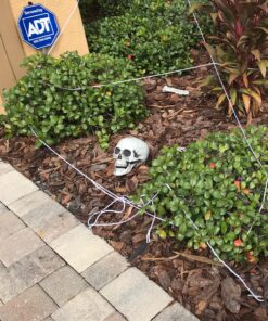 Fun Express Bag of Skeleton Bones - 28 Piece Set 24 91TyYDgx34L