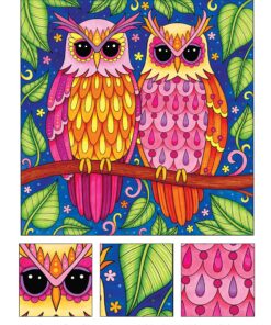 Groovy Owls Coloring Book (Coloring is Fun) (Design Originals) 32 Adorable Art Activities with Quiet, Stoic, Wise, and Happy Owls, plus Beginner-Friendly Advice, Techniques, Color Choices, & Examples Paperback, Coloring Book 32 91U1rzLAPqL