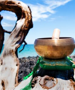 Tibetan Singing Bowl Set By YAK THERAPY- Hand Crafted Meditation, Chakra Healing Peace and Mindfulness Bowl with Mallet, Silk Cushion & Bag, 4.5 inch Bowl Made in Nepal includes Gift Ebook by Email 27 91U2IrxCqUL