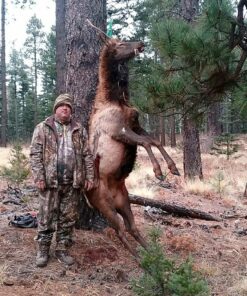 KFI Products ATV-SB Snatch Block, Black 11 91U5eH1RGL