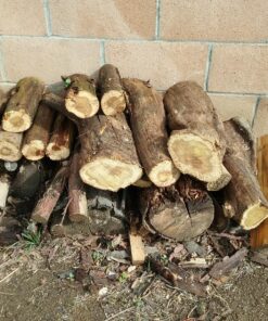 BLACK+DECKER 20V MAX Chainsaw Kit, Cordless, 10 inch, Tool-Free Chain Tensioning, Oil Lubrication System, Battery and Charger Included (LCS1020) 20V Chainsaw Kit 40 91U7yYnql9L