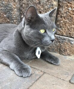 Tile Mate (2016) - 1 Pack - Discontinued by Manufacturer 29 91UHhktLO8L