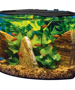 Tetra Crescent aquarium Kit 5 Gallons, Curved-Front Tank With LEDs,black 5-Gallon 20 91UMvs003YL
