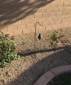 Ashman Adjustable KD Shepherd's Hooks (4 Pack), Black, Made of Premium Metal for Hanging Solar Lights, Bird Feeders, Mason Jars, Christmas Lights, Lanterns, Garden Stakes, and Wedding Décor, etc. 4 30 91UMzI2mFmL