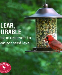 Perky-Pet 312-1SR Outdoor Panorama Wild Bird Feeder - 2 Lb Seed Capacity Brown 28 91UOFjThmSL