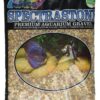 Spectrastone Shallow Creek Regular for Freshwater Aquariums, 5-Pound Bag