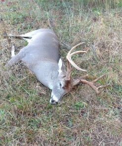 Conquest Scents Hunters Pack Vs-1 And Ever Calm Stick UNITS 9 91UpGoU9GCL