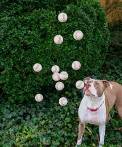 Neliblu Baseball Sports Themed 2.5in Foam Squeeze Balls for Stress and Anxiety Relief - Baseball Sport Stress Balls - Bulk Baseball Party Favors and Decoration - Improve Grip and Dexterity - 1 Dozen 24 91UqV8LEI2L