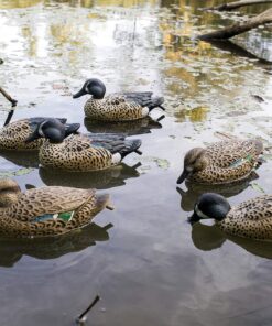 Flambeau Outdoors Storm Front 2 Blue-winged Teal - Floaters - 6-pack 12 91UrGOUmoWL