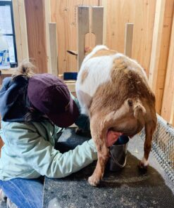 Zenport Z116 Hoof and Floral Trimming Shear with Twin-Blade, 7.5-Inch 1 11 91VZxmdo17L