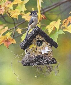 Edible Birdhouses | Reseedable Wooden Birdhouse Covered w/Birdseed | Squirrel Proof Bird Feeder | Made in The USA (SD) Short Dark Roof 21 91Vb9wzK2L