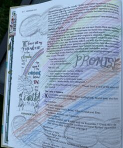 Amazon Basics Premium Colored Pencils, Soft Core, 48 Count Set 48 Count (Pack of 1) 42 91VetEOZUZL