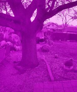 FOSCAM Outdoor Security Camera,G4 Full HD 4MP 2K WiFi Security Camera, Alexa Compatible, AI & Motion Detection, Free Cloud Service Included, 65ft Night Vision IP66 Weatherproof,Black 4MP Black 35 91Vqee I0PL