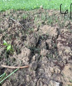 Scotts EZ Seed Patch and Repair Sun and Shade for Grass: Covers up to 225 sq. ft., 10 lb. 10 lb. 1 Pack 54 91Vuo BS0FL