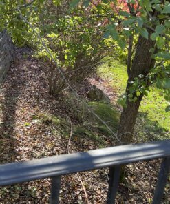 Trupow 1/10HP 330GPH 115-Volt Mini Portable Electric Utility Sump Transfer Water Pump with Water Hose Kit 115V AC 28 91VwmW8TLDL